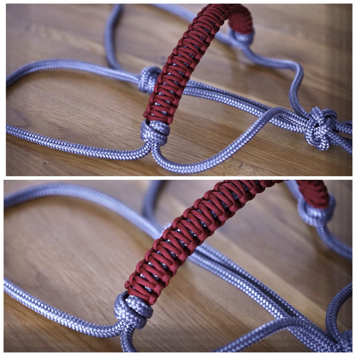 Knotenhalfter Cobra